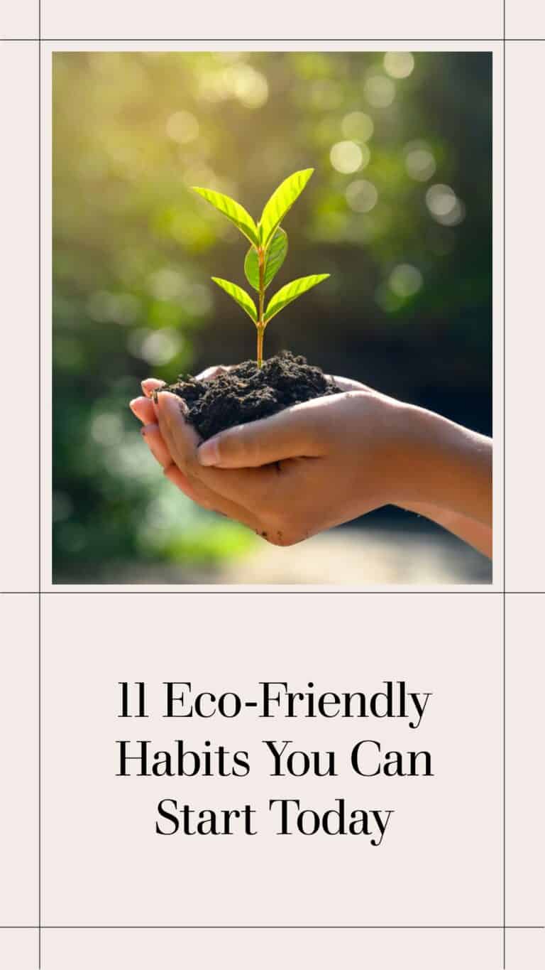 11 Eco-Friendly Habits You Can Start Today