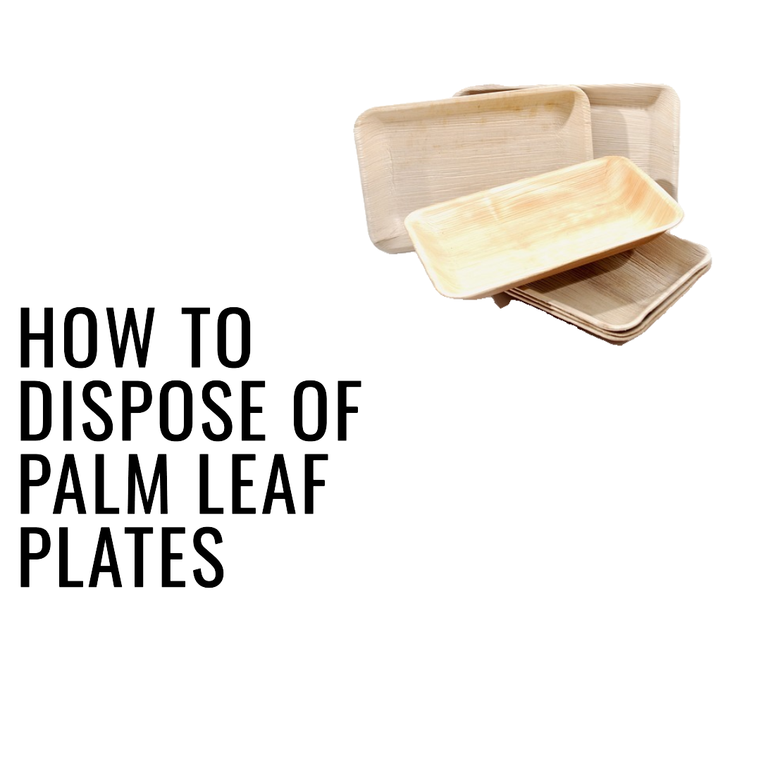 How To Dispose of Palm Leaf Plates? A Comprehensive Guide