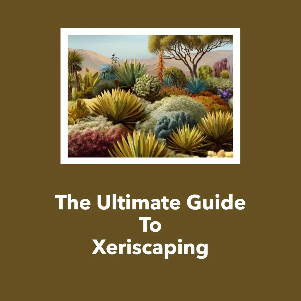 What is Xeriscaping