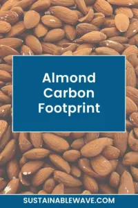 Almond Carbon Footprint Almond Water Consumption