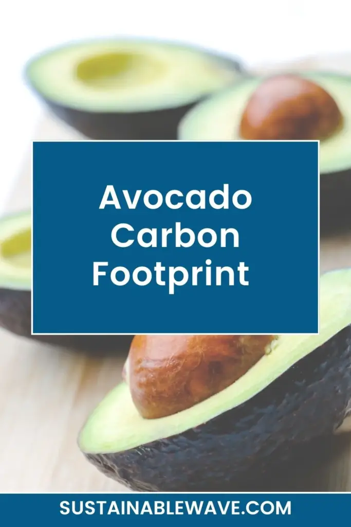 Avocado Carbon Footprint
Avocado Water Consumption
