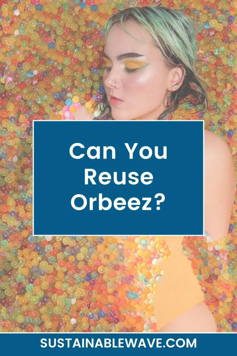 Can You Reuse Orbeez