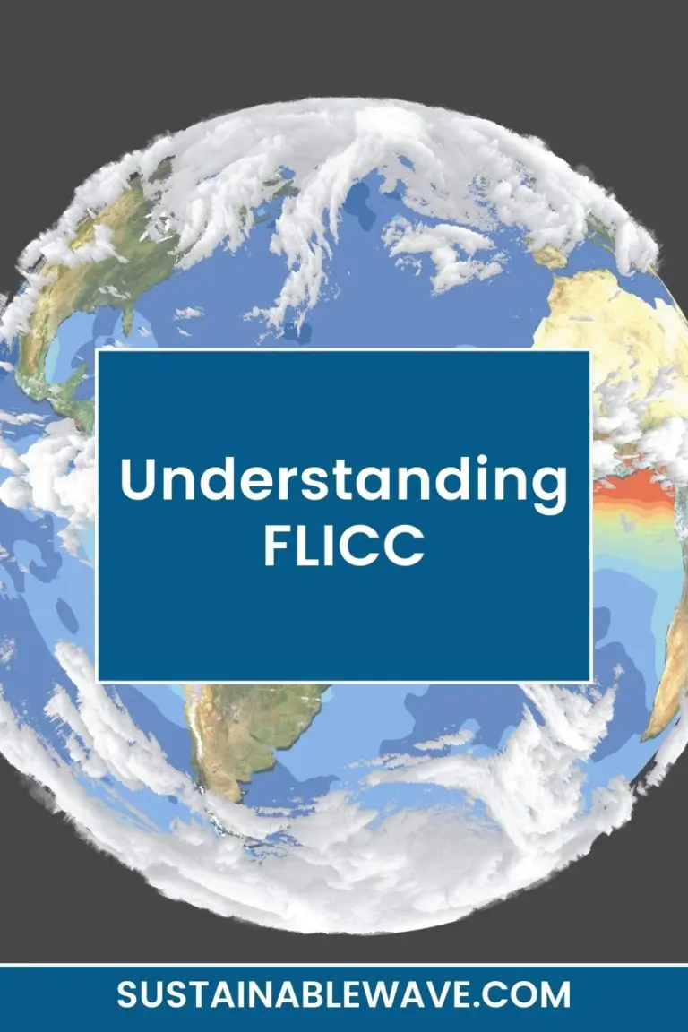 Understanding FLICC Meaning