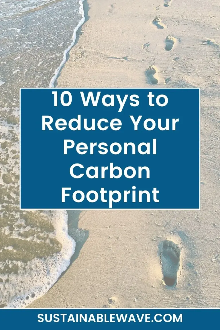 10 Ways to Reduce Your Personal Carbon Footprint