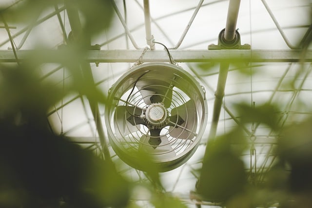 Solar Powered Greenhouse Fan With Thermostat
Solar Greenhouse Fan
