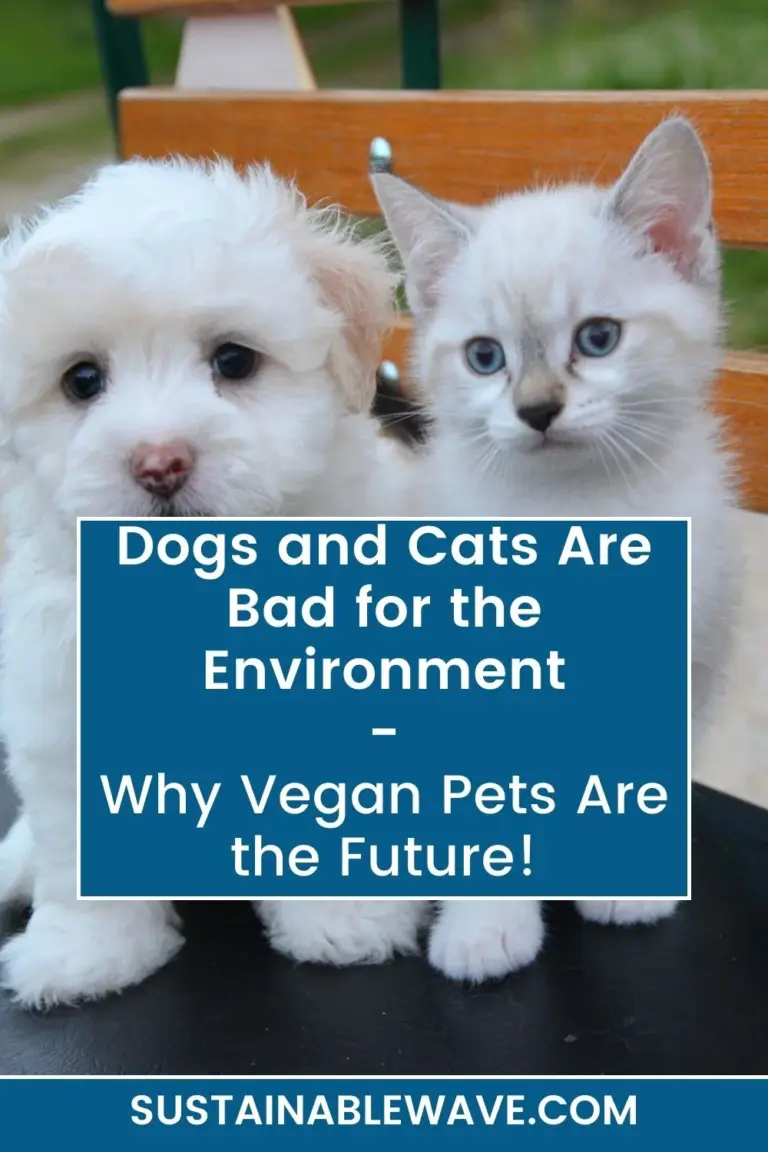 Dogs and Cats Are Bad for the Environment – Why Vegan Pets Are the Future