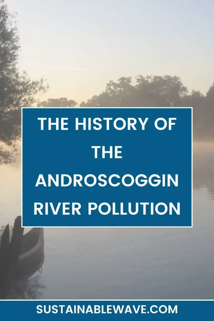 ANDROSCOGGIN RIVER POLLUTION