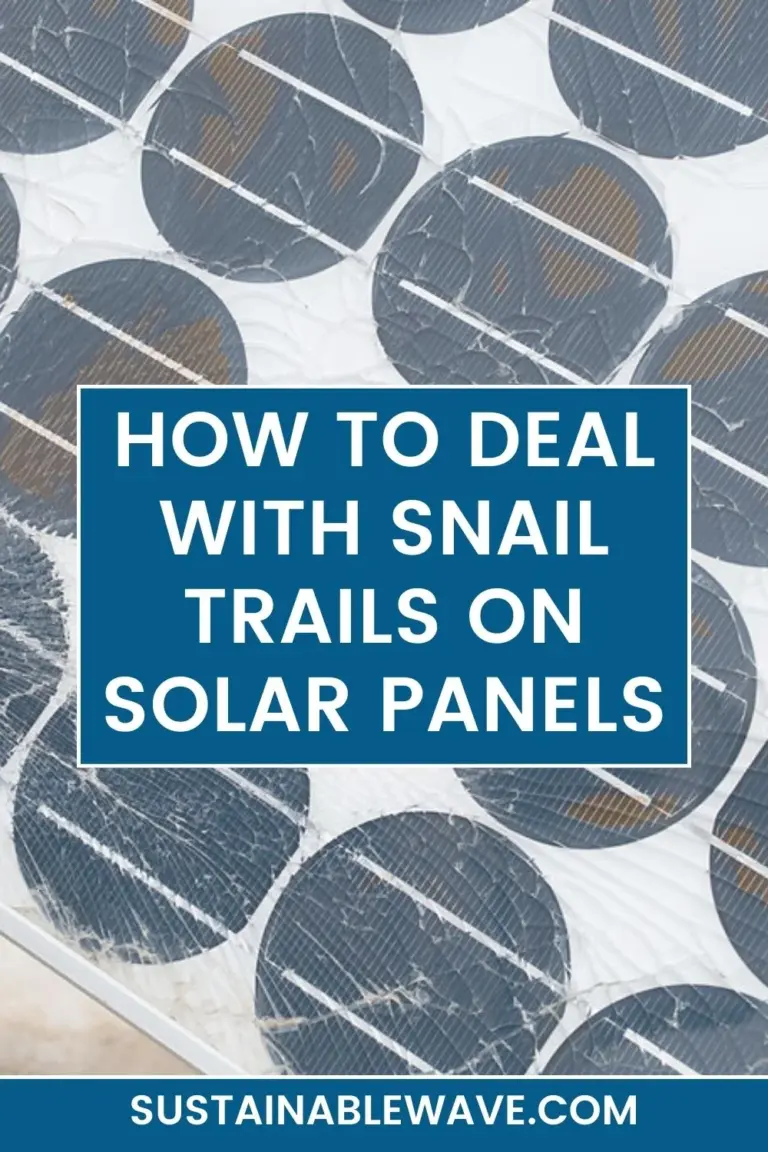 How to Deal With Snail Trails on Solar Panels!