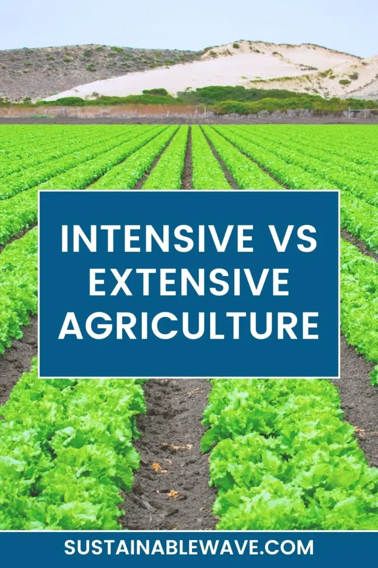 INTENSIVE VS EXTENSIVE AGRICULTURE