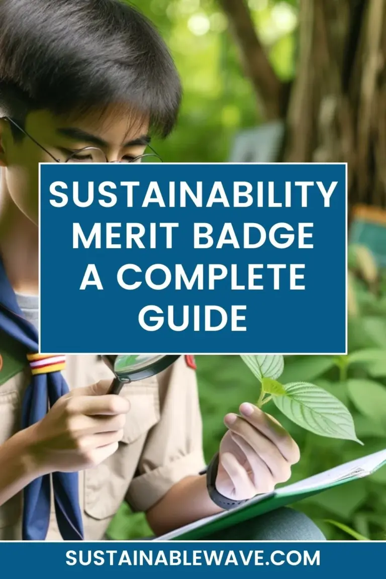 SUSTAINABILITY MERIT BADGE