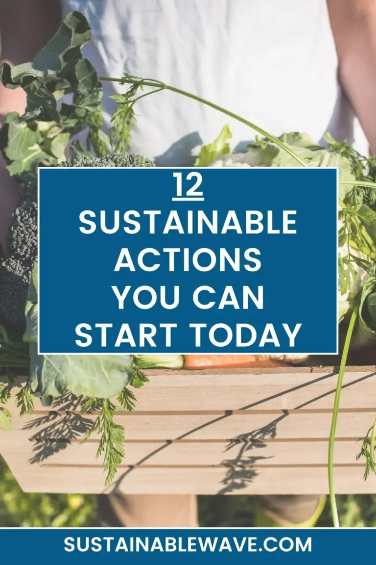 12 Sustainable Actions You Can Start Today