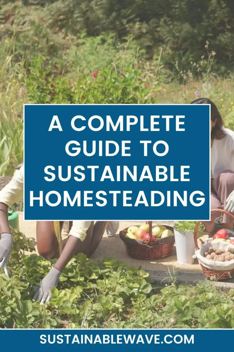 SUSTAINABLE HOMESTEADING