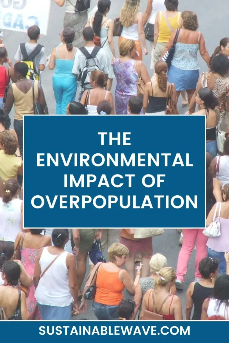 THE ENVIRONMENTAL IMPACT OF OVERPOPULATION