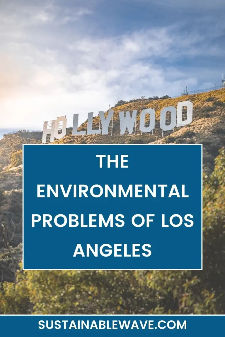 The Environmental Problems of Los Angeles In 2024