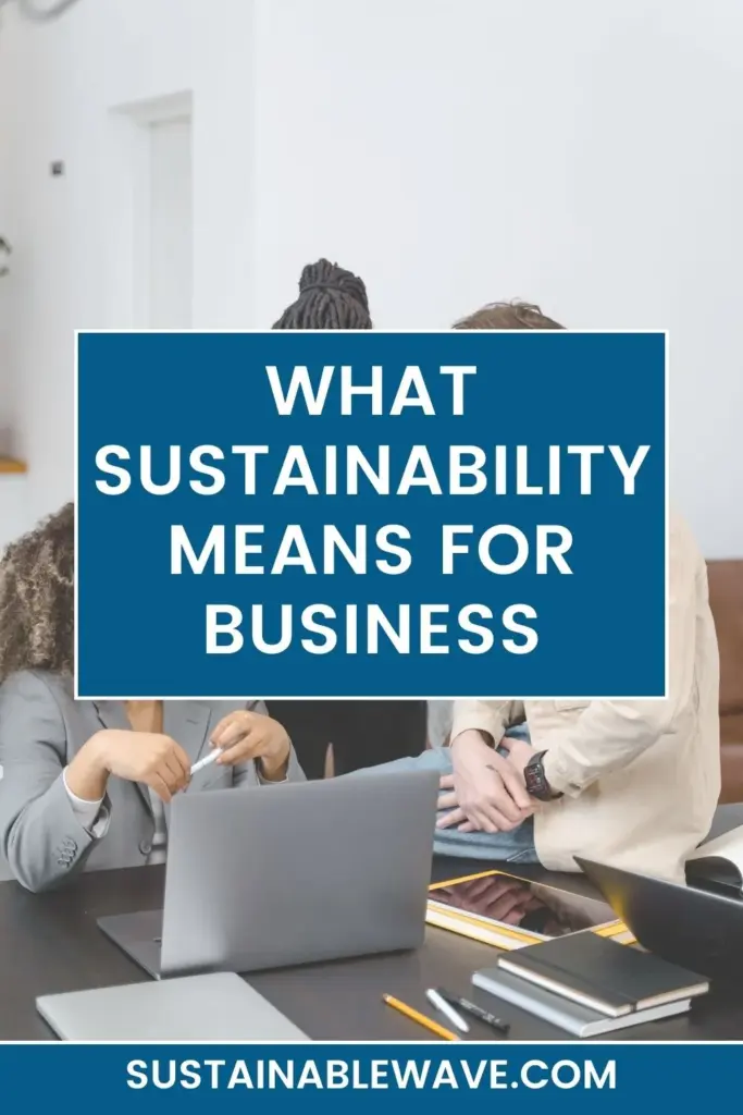 WHAT SUSTAINABILITY MEANS FOR BUSINESS
How Can a Business Start Its Sustainability Journey
