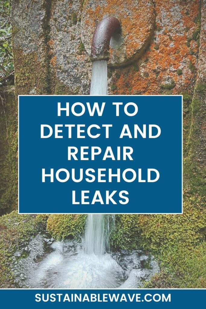 HOW TO DETECT AND REPAIR HOUSEHOLD LEAKS