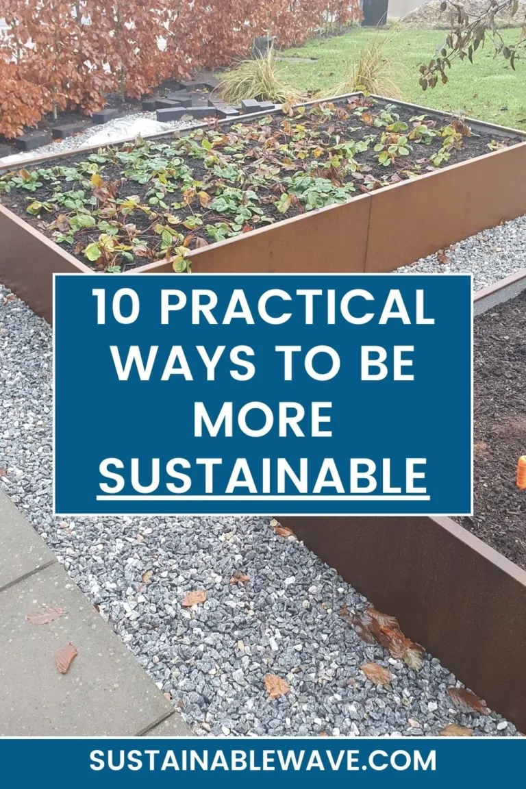 10 Practical Ways to Be More Sustainable