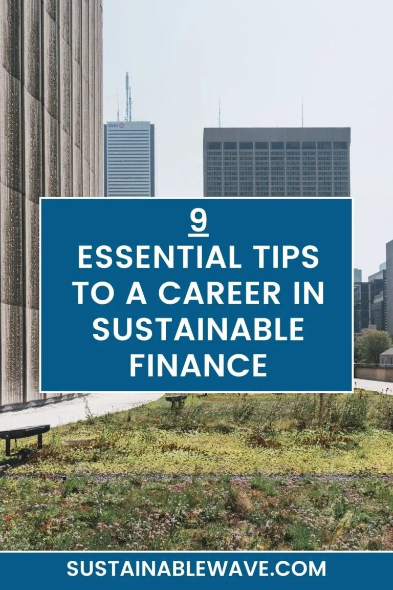 9 Essential Tips to a Career in Sustainable Finance