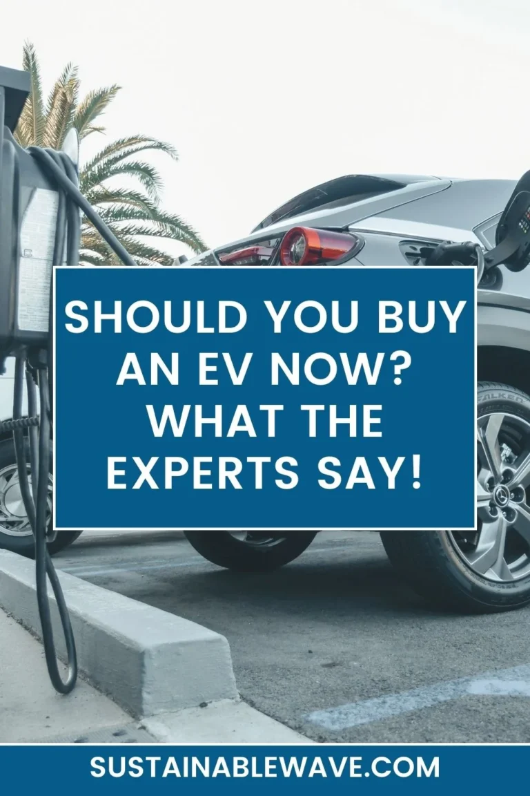 Should You Buy an EV Now? What the Experts Say