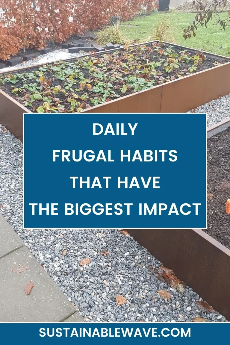 The 15 Daily Frugal Habits That Have the Biggest Impact