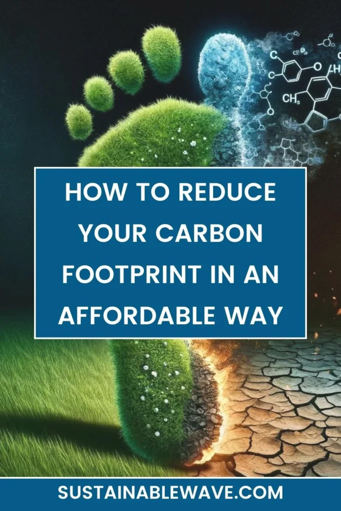 HOW TO REDUCE YOUR CARBON FOOTPRINT IN AN AFFORDABLE WAY