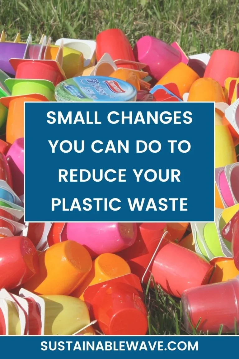 SMALL CHANGES YOU CAN DO TO REDUCE YOUR PLASTIC WASTE